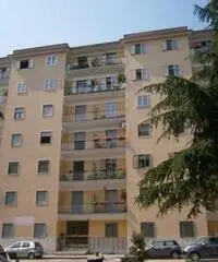 Affitto Appartamento a Benevento Affitto Appartamento a Benevento