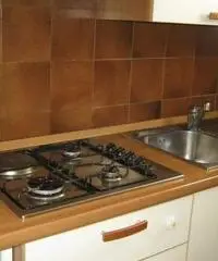 CASPOGGIO BILOCAE CON GIARDINO PRIVATO - Sondrio