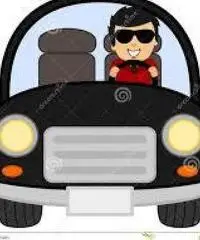 Autista auto