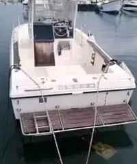 Barca capelli mirage 24