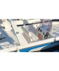 Barca a motore