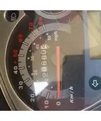 Agility 50 - Campania