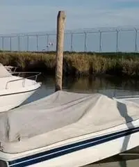 Tullio abbate 6m