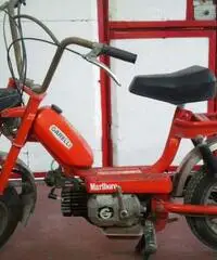 Ciclomotore - Modena