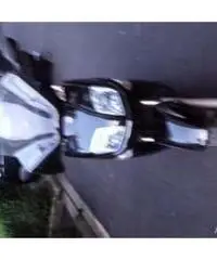 Yamaha XC 300 - Firenze