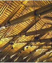 Vendo canne di bambù bambu con diametro da 1 cm. fino a 10 cm.