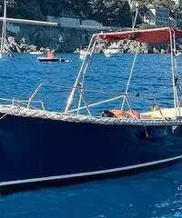 Gozzo baciccia primula mare Gozzo baciccia primula mare