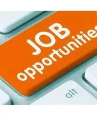opportunità lavoro opportunità lavoro