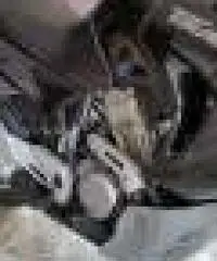 HondaTransalp XL 650 V - Roma