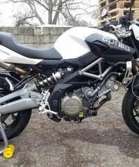 Aprilia Shiver 750 - Rovigo