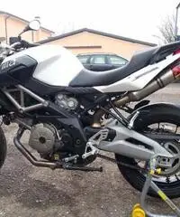 Aprilia Shiver 750 - Rovigo