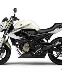 Yamaha XJ6 - Campania