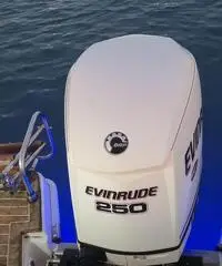 Barca fuoribordo cabinato Blumax walkaround 23