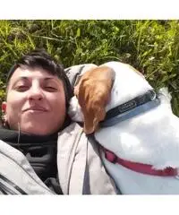 Dog Sitter Dog Sitter