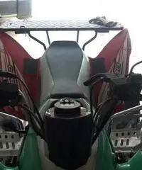 Aeon cobra 300 - Lodi