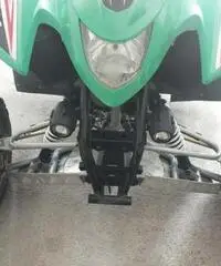 Aeon cobra 300 - Lodi