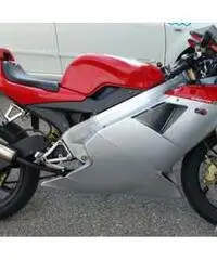 Cagiva mito sp525- 2010. - Venezia