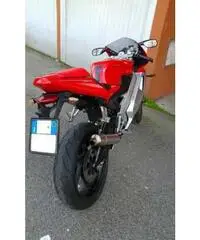 Cagiva mito sp525- 2010. - Venezia