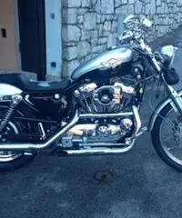 Sportster 1200 centenario - Trieste