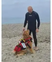 Bagnino di salvataggio Bagnino di salvataggio