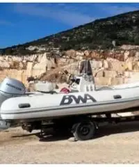 Gommone bwa 550