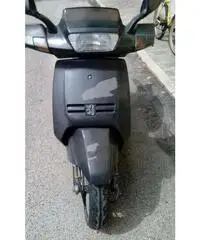 Peugeot geo piaggio - Abruzzo