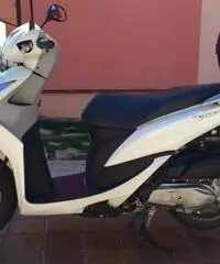 Honda Vision 50 - Abruzzo