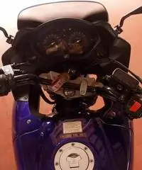 HONDA CBF 600 S - Cuneo