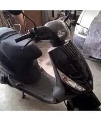 Piaggio zip - Piemonte Piaggio zip - Piemonte