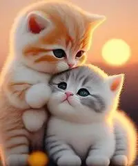 Vorrei un amore esagerato Vorrei un amore esagerato