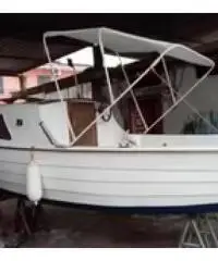 Pilotina cracchi con johnson sea horse 25/50