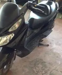 Burgman 150 - Basilicata