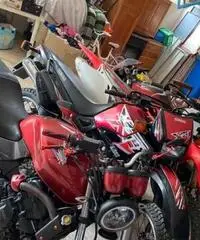 Honda Hornet