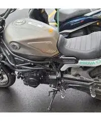 Benelli Leoncino 800 TRAIL ARGENTO Benelli Leoncino 800 TRAIL ARGENTO