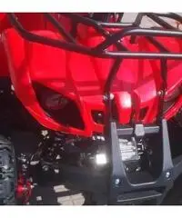 MINI QUAD M7B PRO 50CC 4T AVV.ELETTRICO MINI QUAD M7B PRO 50CC 4T AVV.ELETTRICO