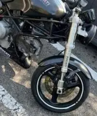 Ducati monster
