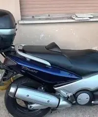 T-max 2004