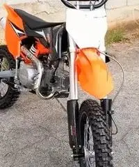 NUOVA PIT BIKE SPORT 125cc 17/14