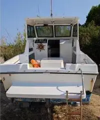 Pilotina
