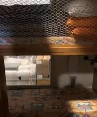 Mobilvetta top driver 60G