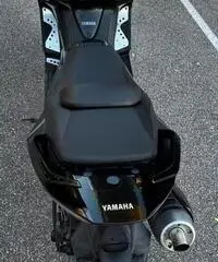 T Max