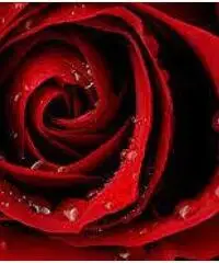 Ho tutto quello che occorre per far felice una ragazza curvi Ho tutto quello che occorre per far felice una ragazza curvi