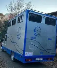 Van Trasposto cavalli