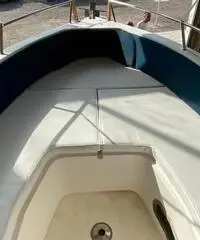 Barca a motore