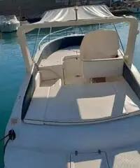 Barca a motore