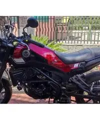 Benelli Leoncino 250 Benelli Leoncino 250