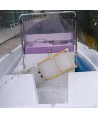 Barca Open e motore Johnson 25 cv con carrello alaggio motor