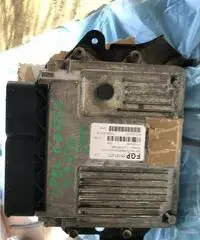 FGP 55187472 FGP 55187472