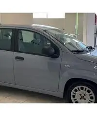 FIAT PANDA 1.2 69cv E6 Easy