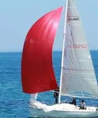 Barca a vela - Nytec 25